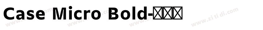 Case Micro Bold字体转换 Case Micro Bold字体转换